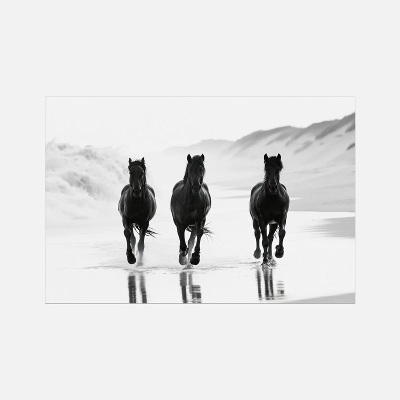Coastal Horses - Wildlife Worlds
