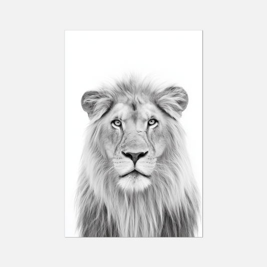 Lion - Monochrome Studio