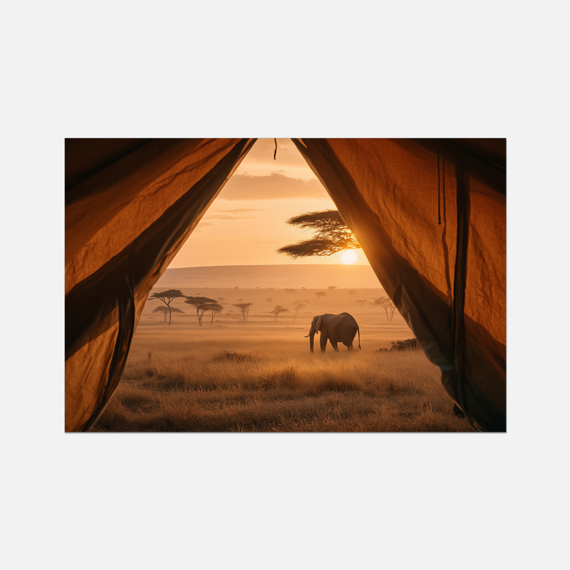 Safari - Window Seat