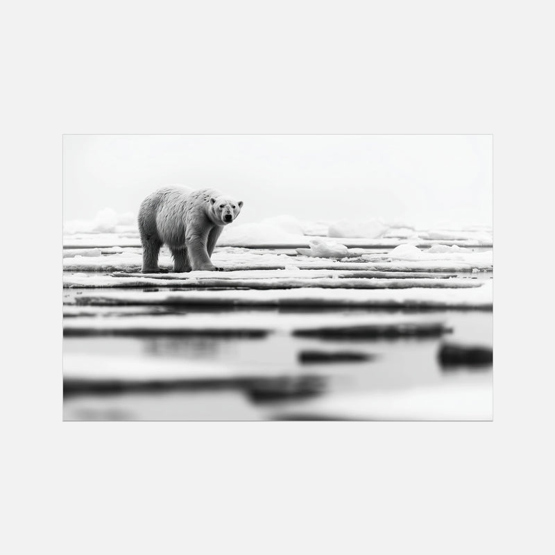 Iced Polar Bear - Wildlife Worlds