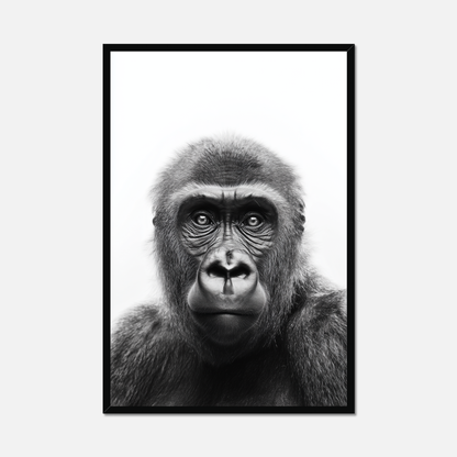 Ape - Monochrome Studio