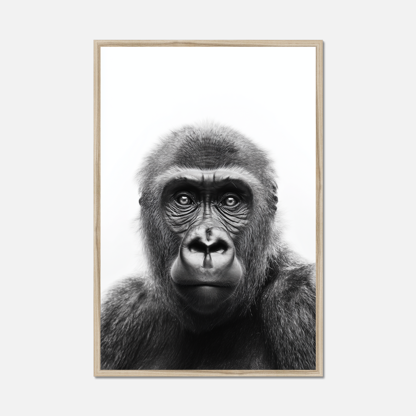 Ape - Monochrome Studio