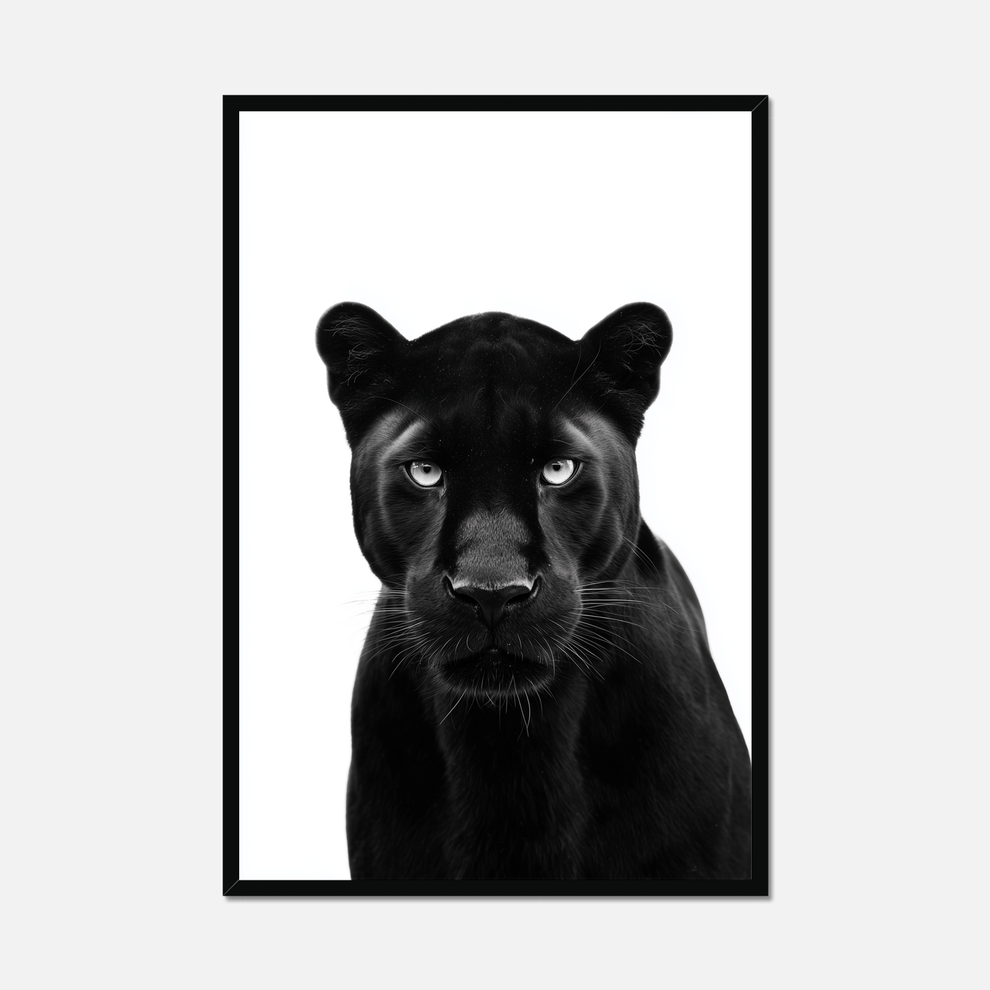 Black Panther - Monochrome Studio