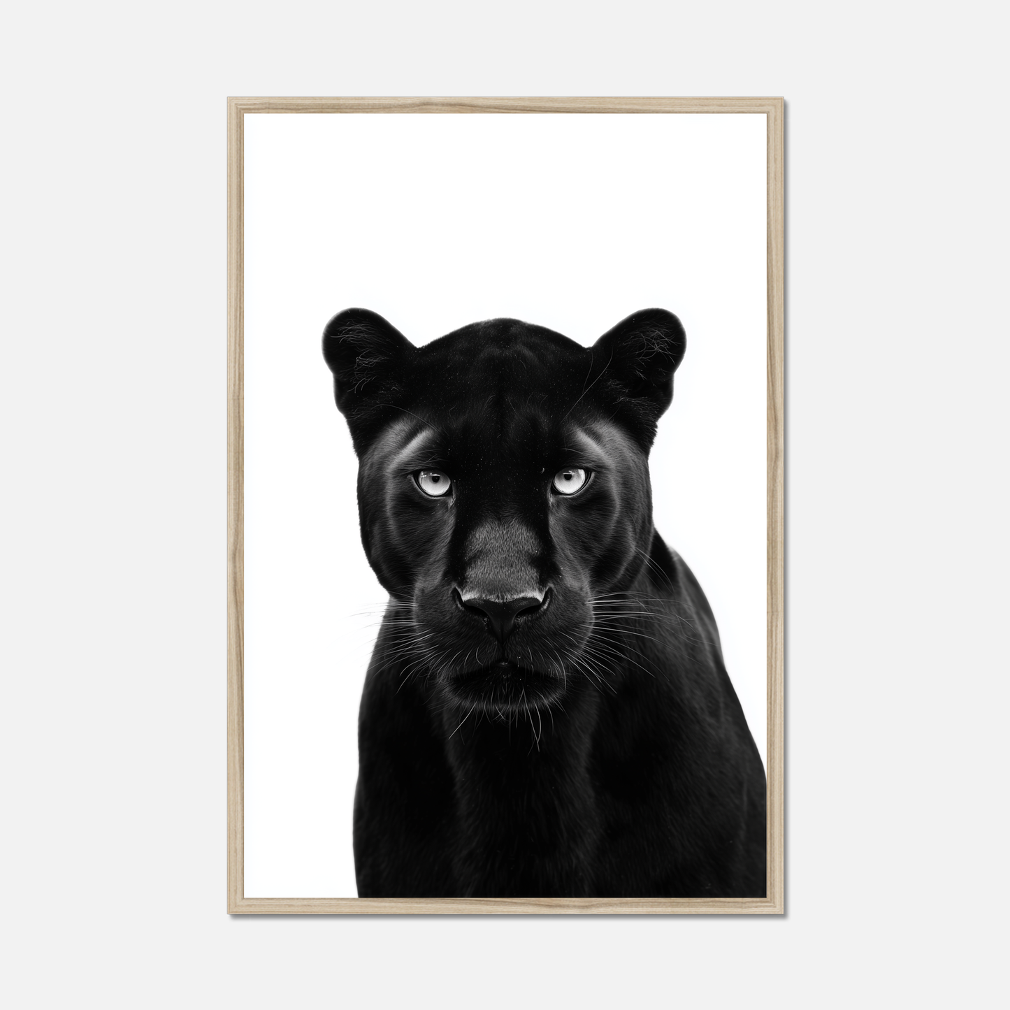 Black Panther - Monochrome Studio