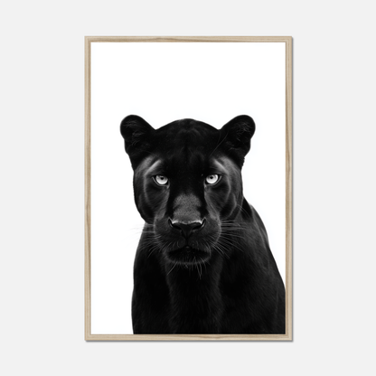 Black Panther - Monochrome Studio