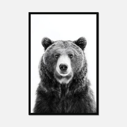 Brown Bear - Monochrome Studio