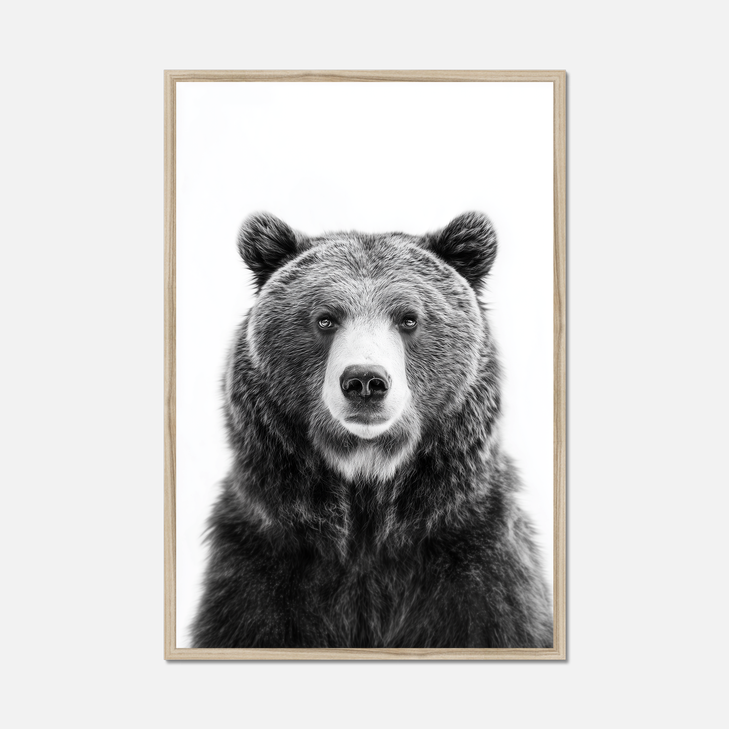 Brown Bear - Monochrome Studio