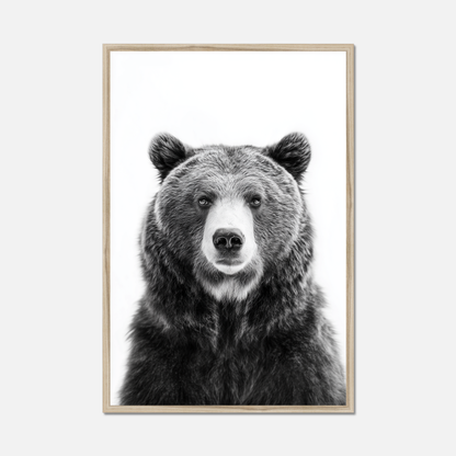 Brown Bear - Monochrome Studio