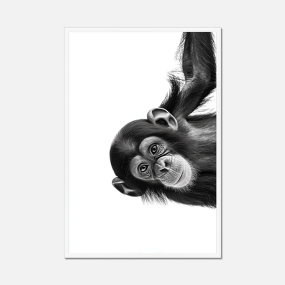 Cheeky Chimpanzee - Monochrome Studio