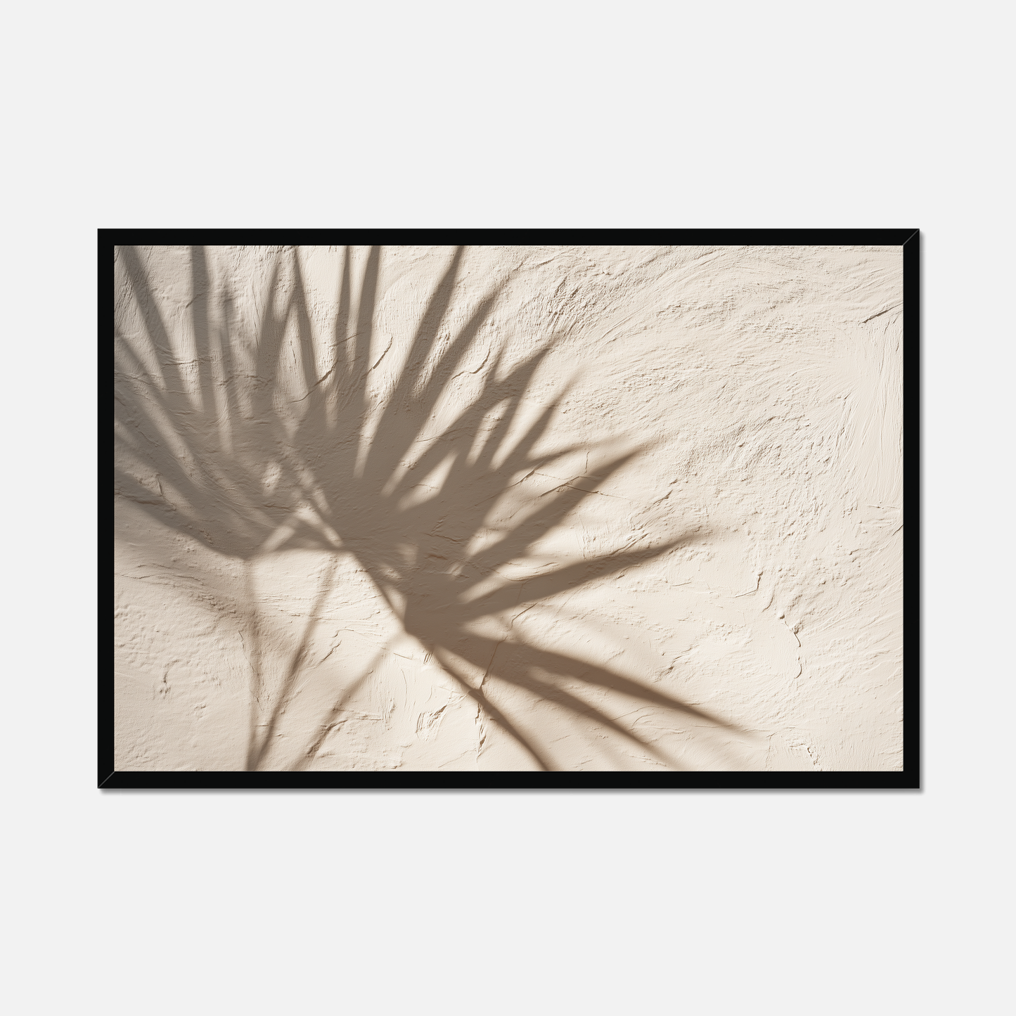 Dry Palm - Textured Silence