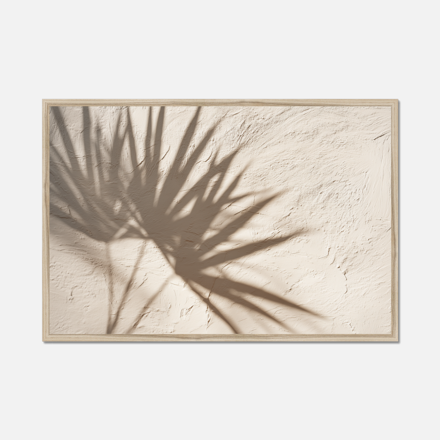 Dry Palm - Textured Silence