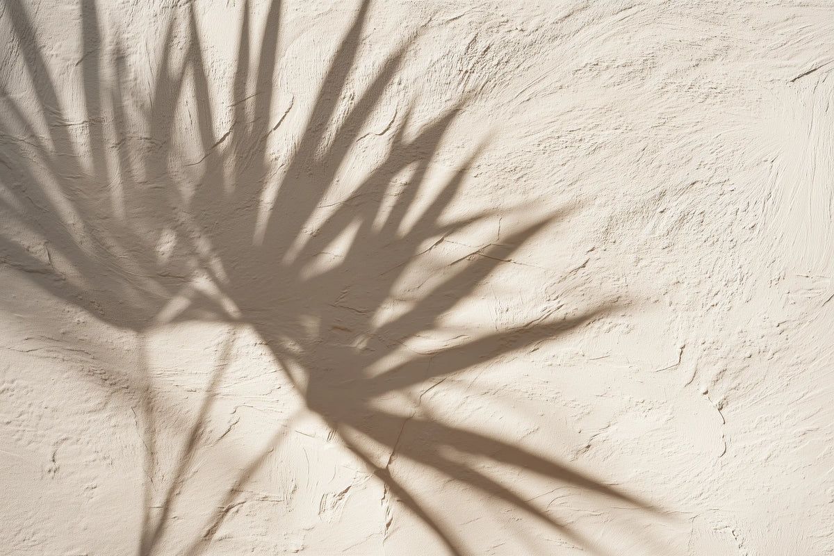 Shadows of a palm tree on a limestone wall