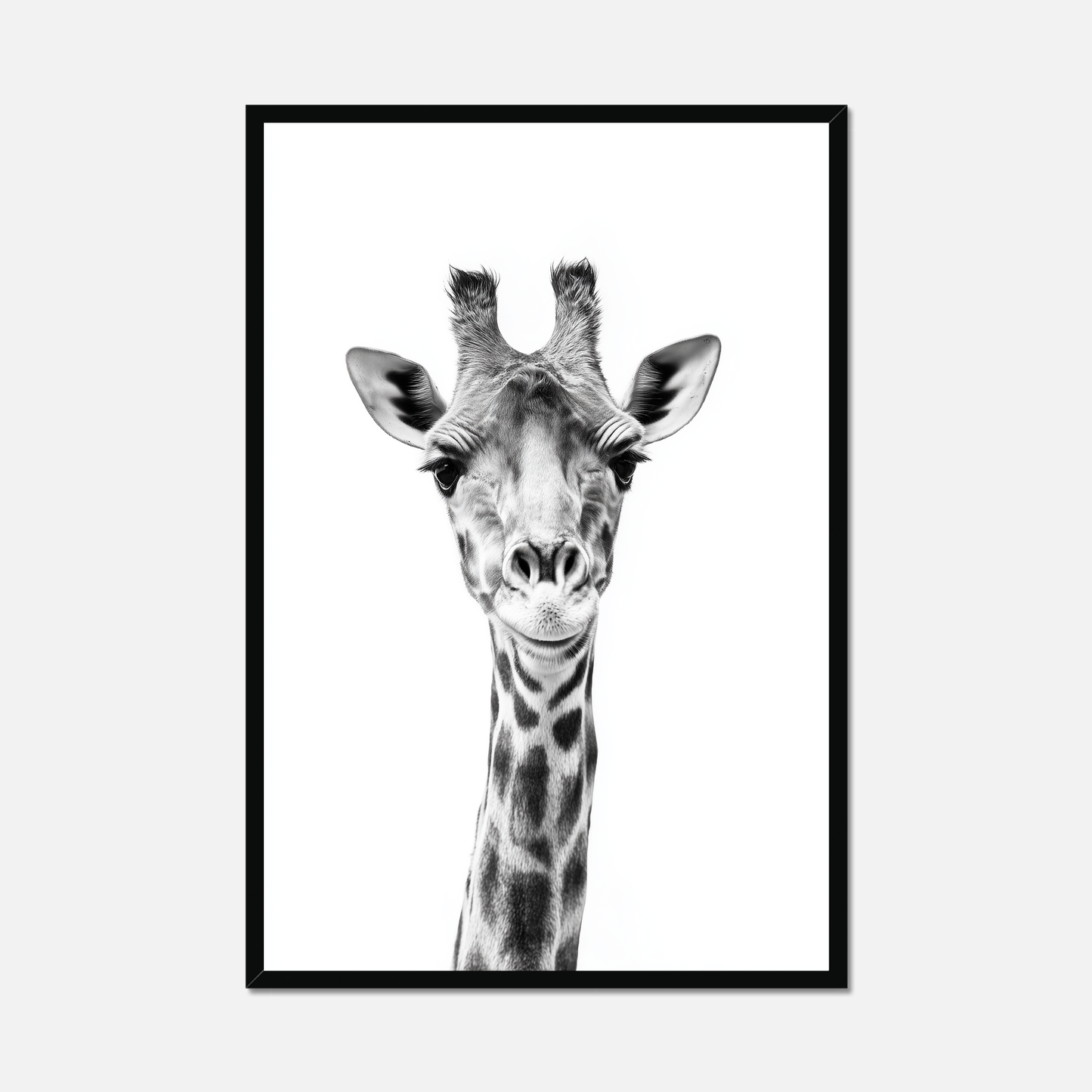 Giraffe - Monochrome Studio
