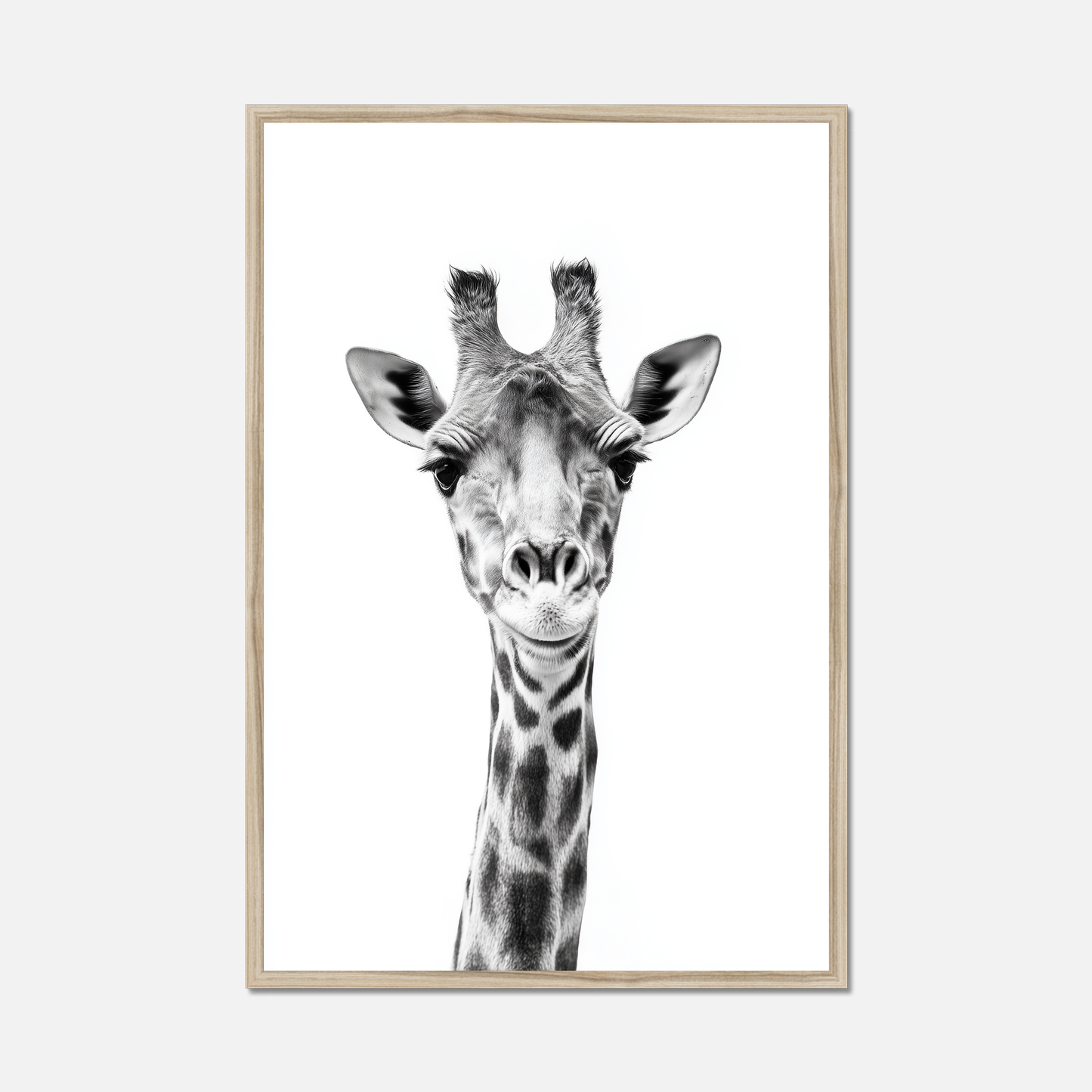 Giraffe - Monochrome Studio