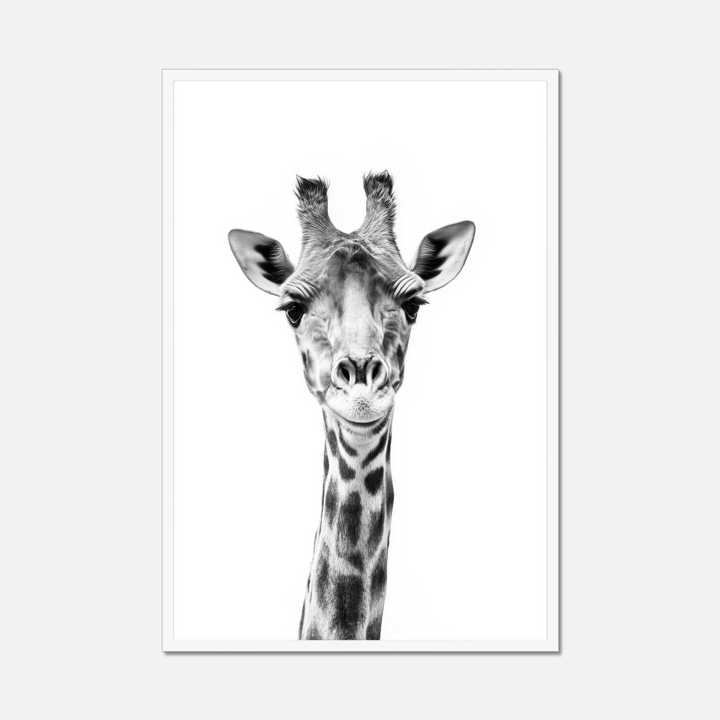 Giraffe - Monochrome Studio