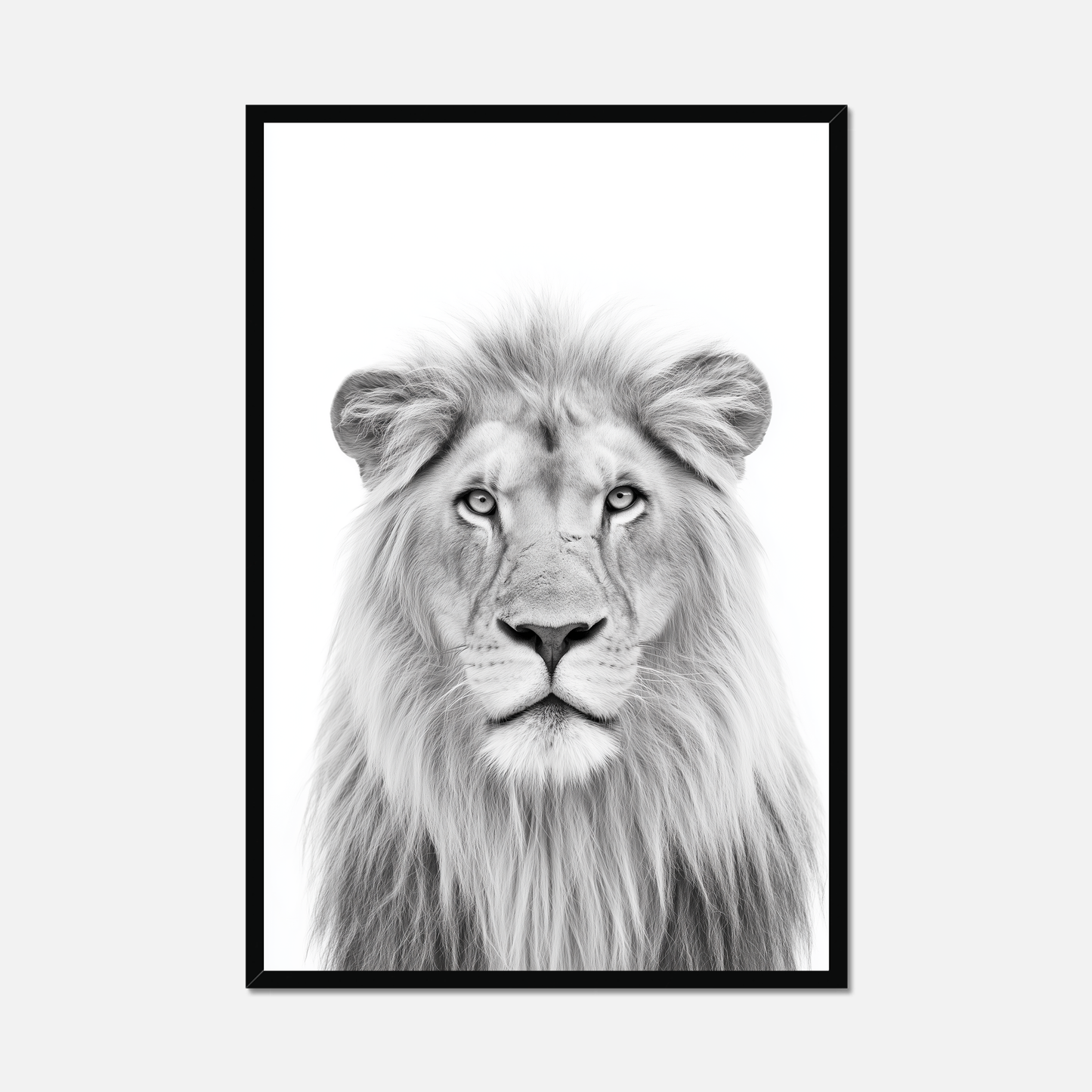 Lion - Monochrome Studio