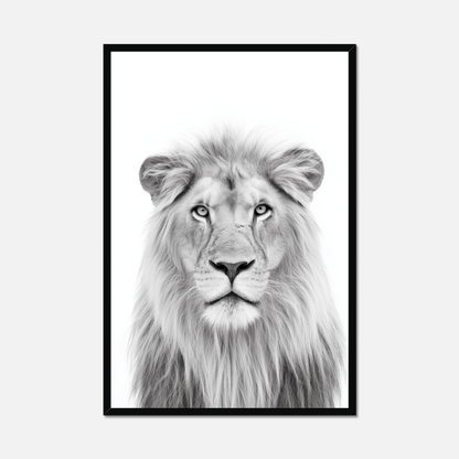 Lion - Monochrome Studio