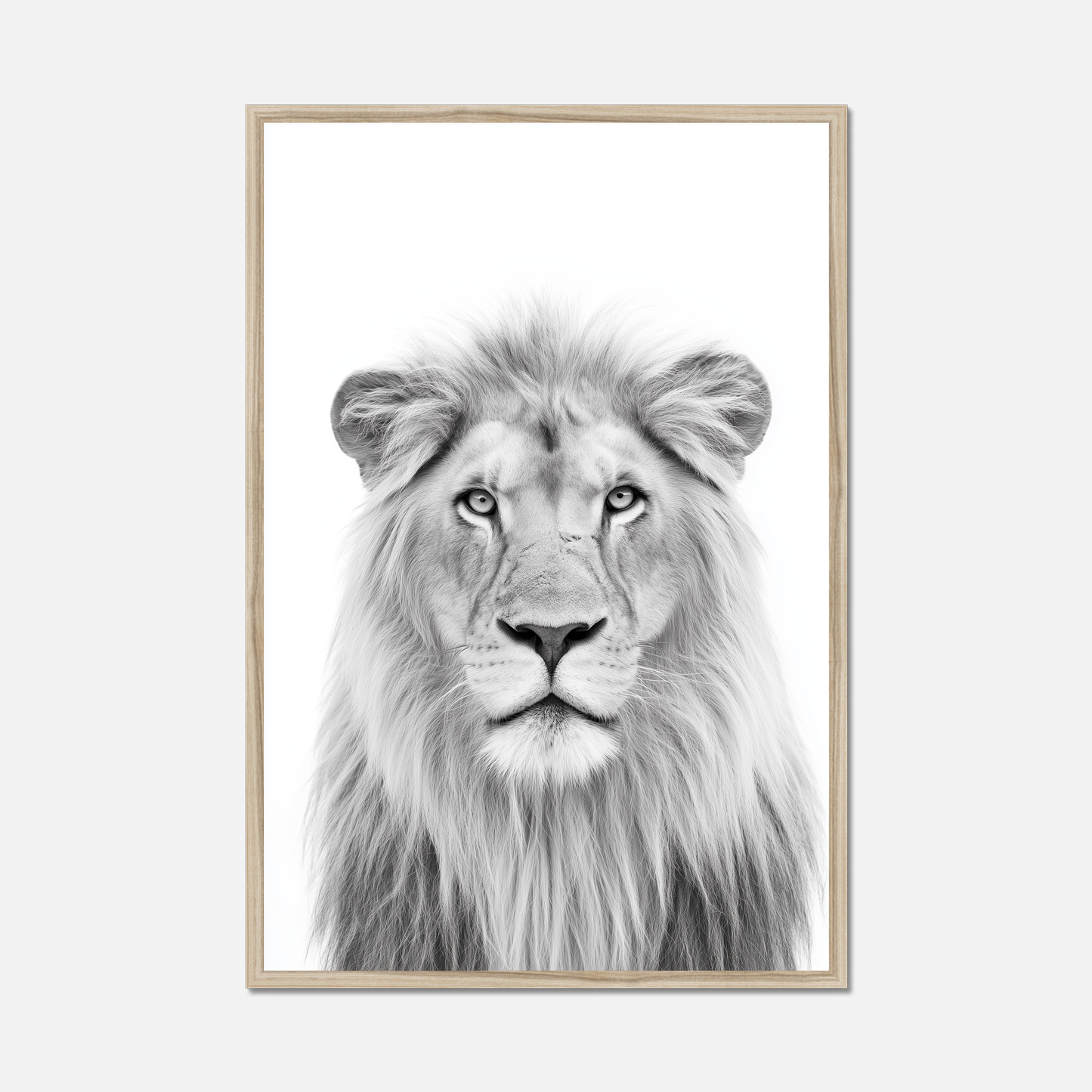 Lion - Monochrome Studio