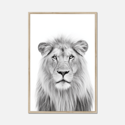 Lion - Monochrome Studio