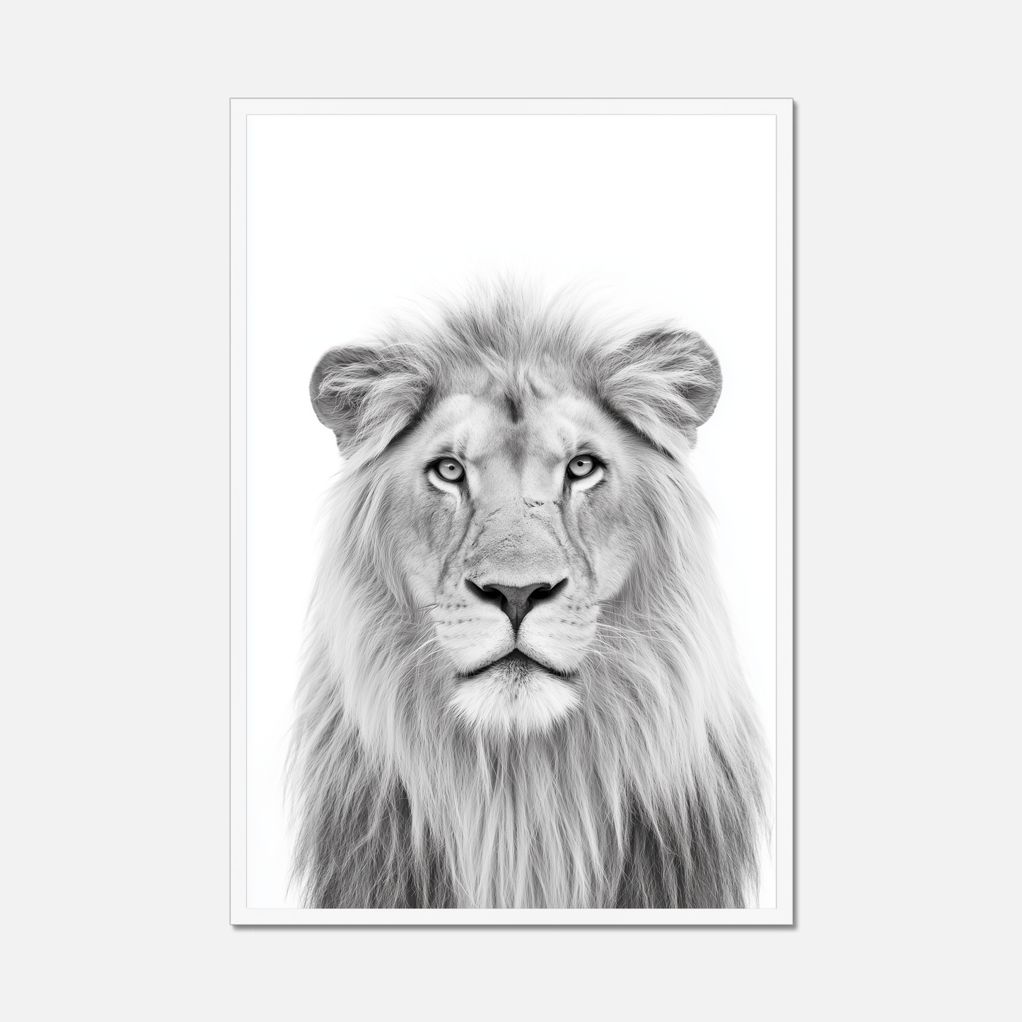 Lion - Monochrome Studio