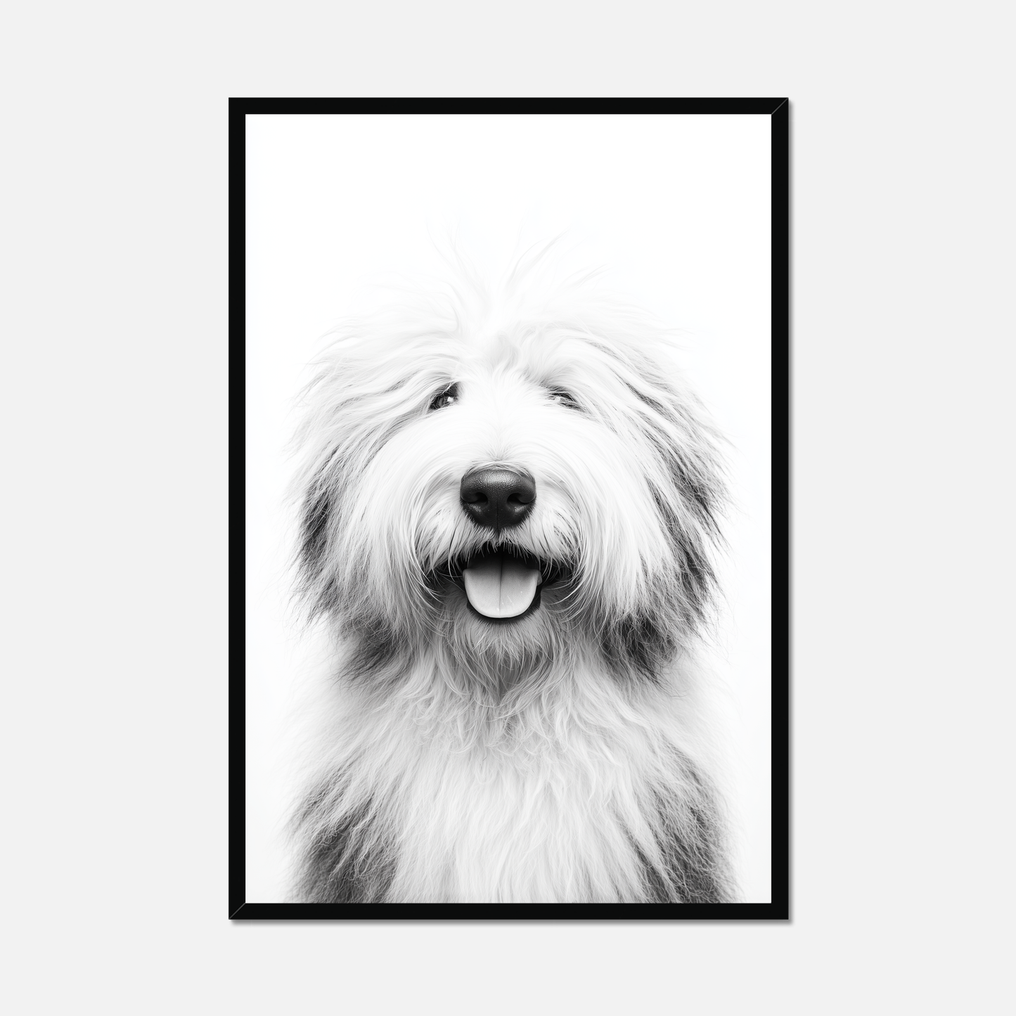 Old English Sheepdog - Monochrome Studio