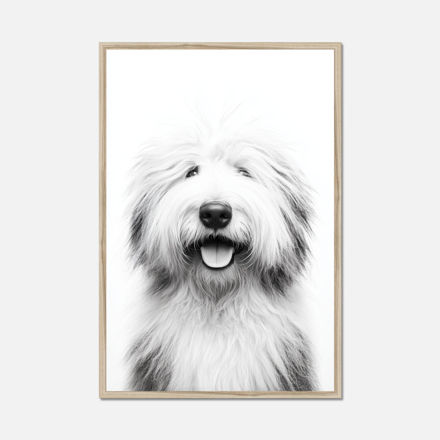 Old English Sheepdog - Monochrome Studio
