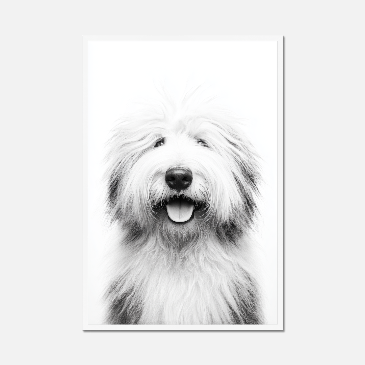 Old English Sheepdog - Monochrome Studio
