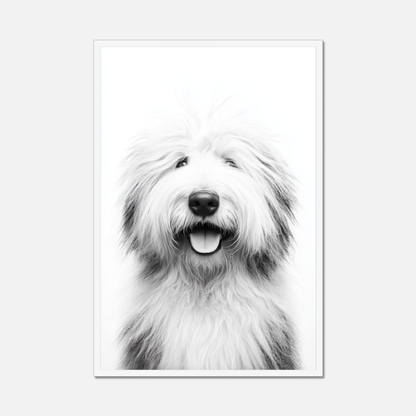 Old English Sheepdog - Monochrome Studio