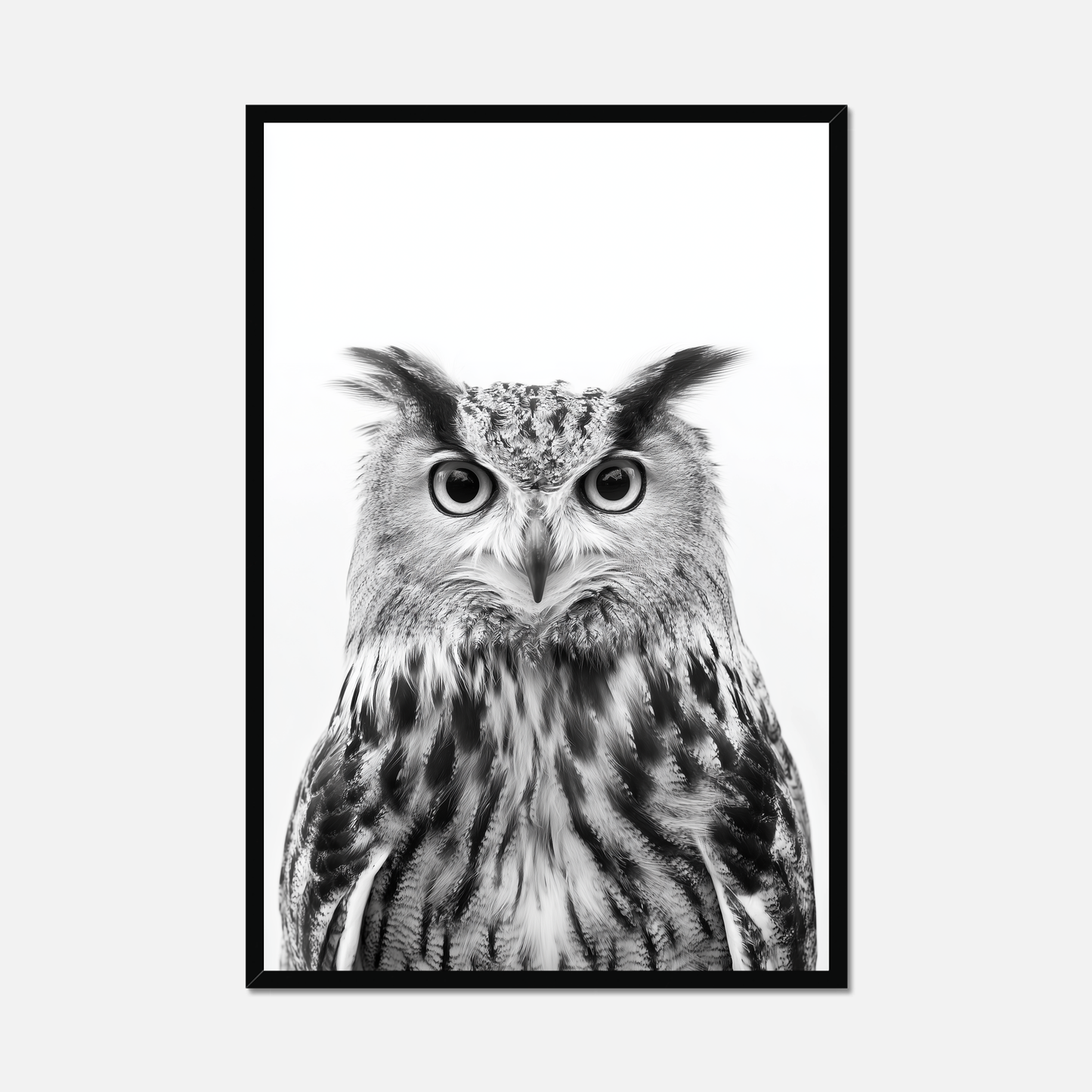 Owl - Monochrome Studio