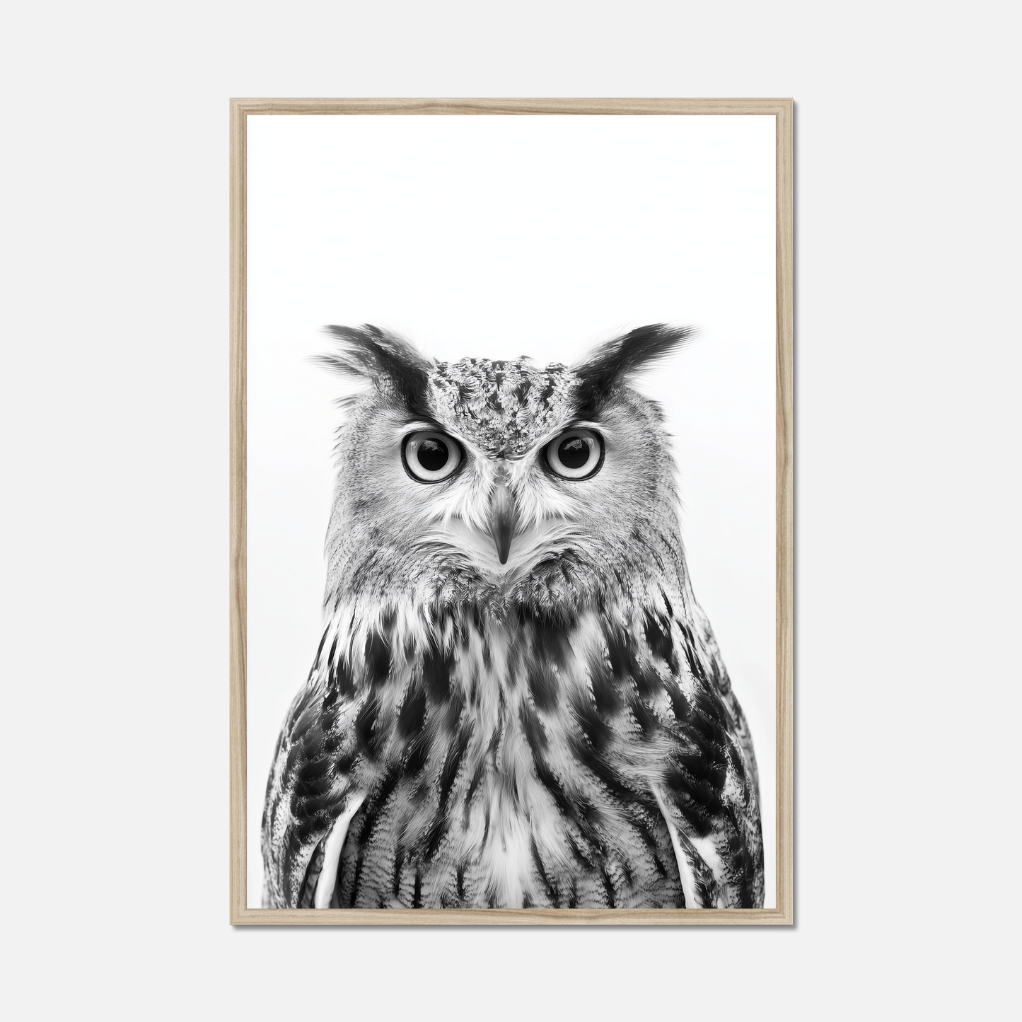 Owl - Monochrome Studio