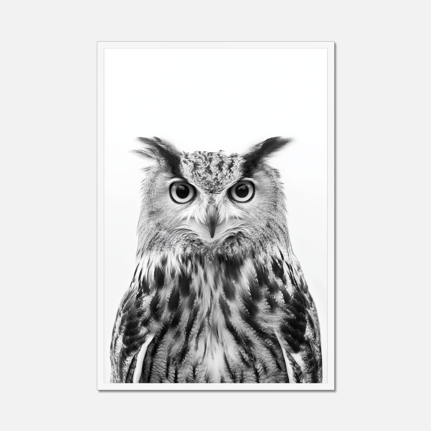 Owl - Monochrome Studio