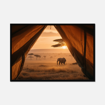 Safari - Window Seat