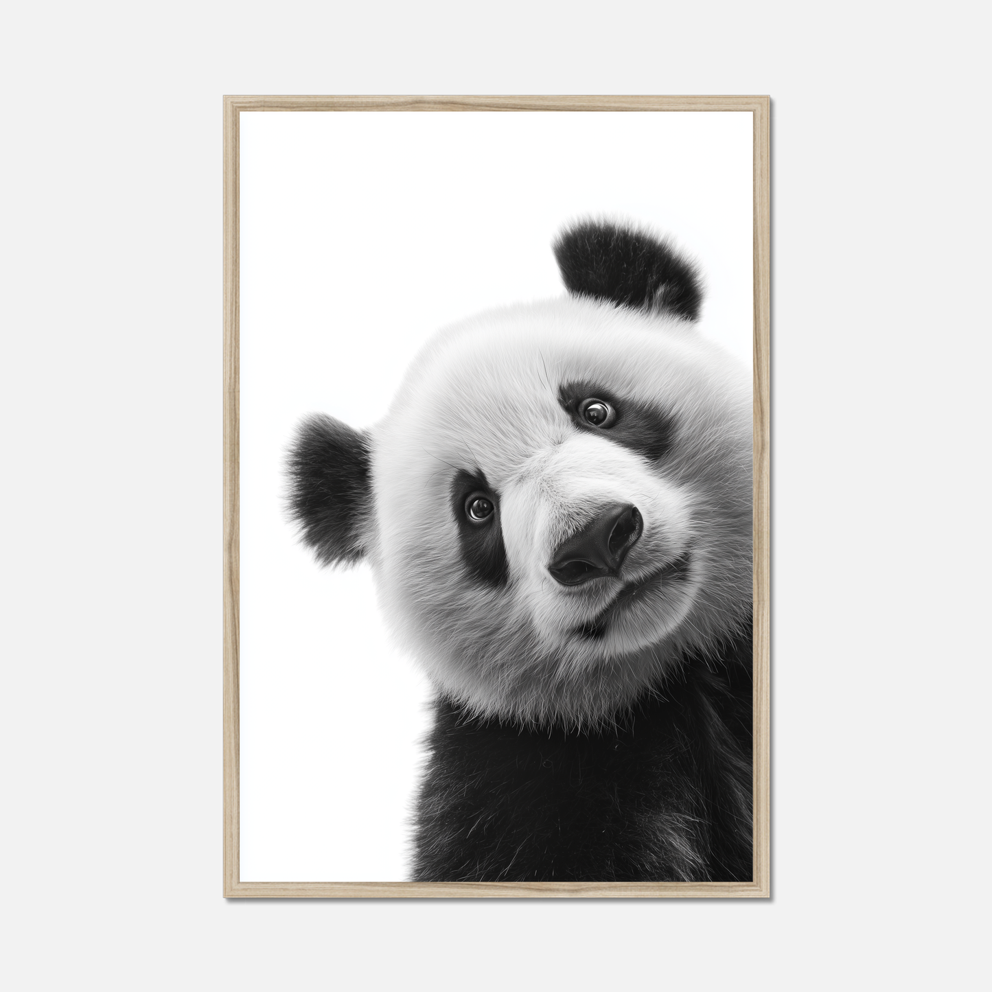 Shy Panda - Monochrome Studio
