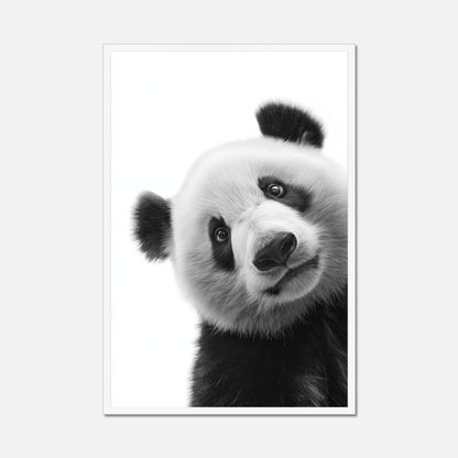 Shy Panda - Monochrome Studio