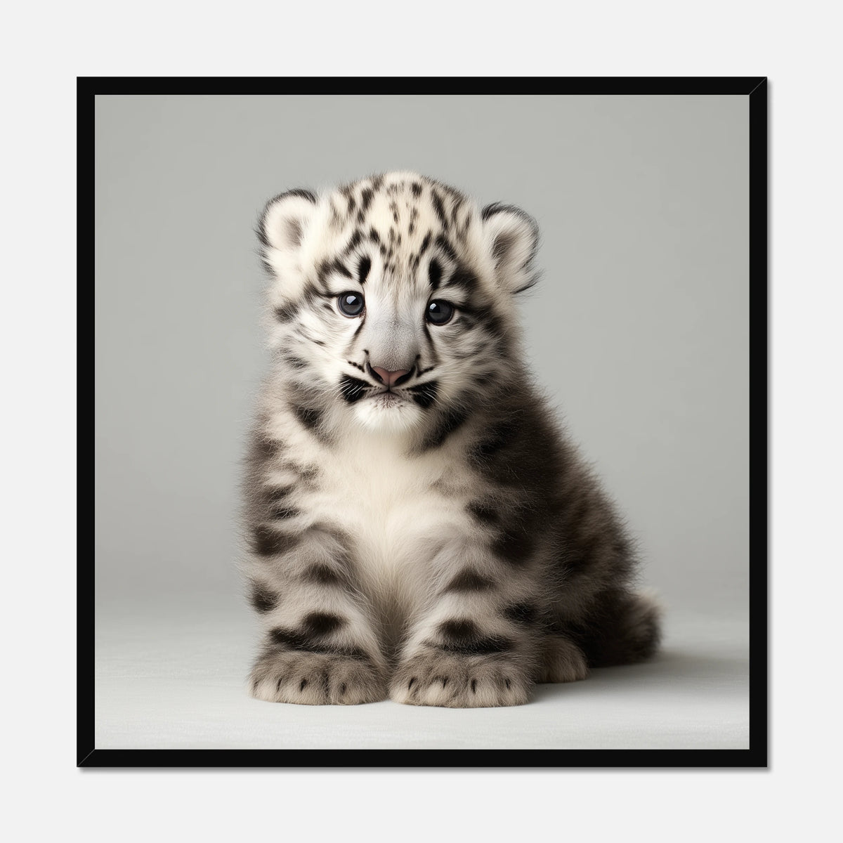 Black framed picture of a snow leopard cub on a gray background