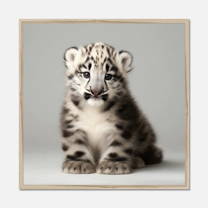 Natural oak framed picture of a snow leopard cub on a gray background