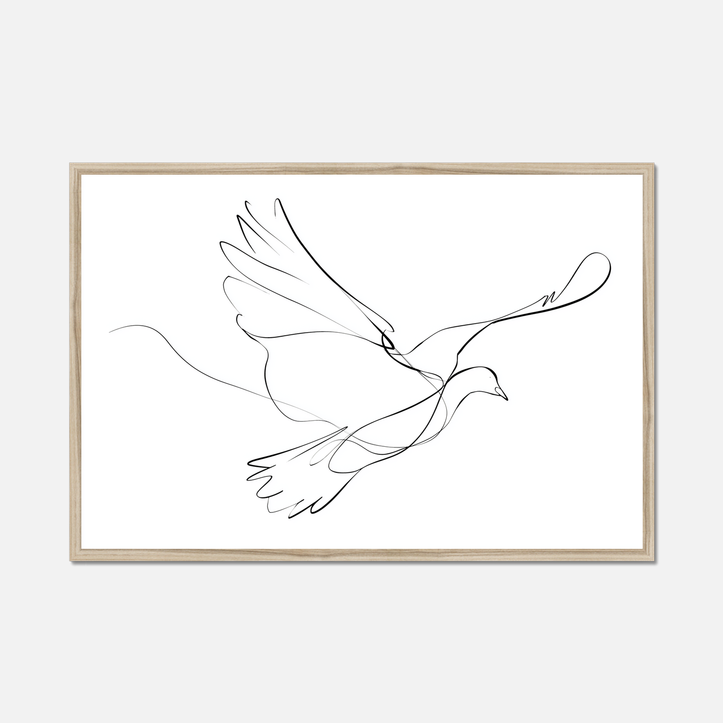 The Dove - Living Lines