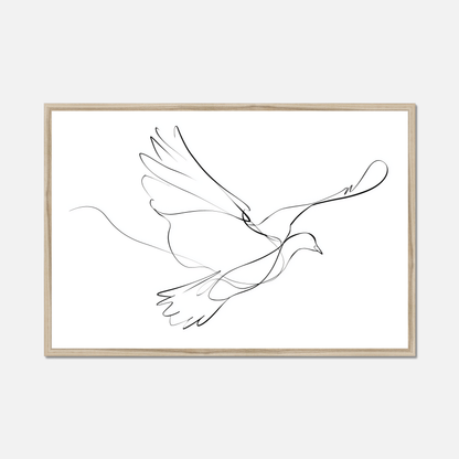 The Dove - Living Lines
