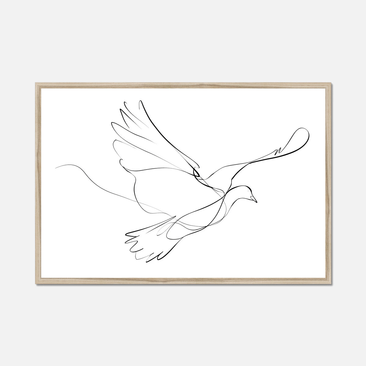 Natural oak framed fine line drawing of a dove on a white background