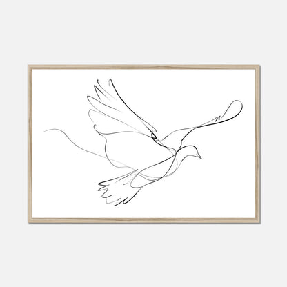 Natural oak framed fine line drawing of a dove on a white background