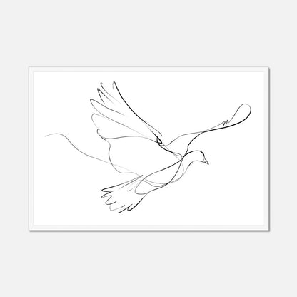 White framed fine line drawing of a dove on a white background