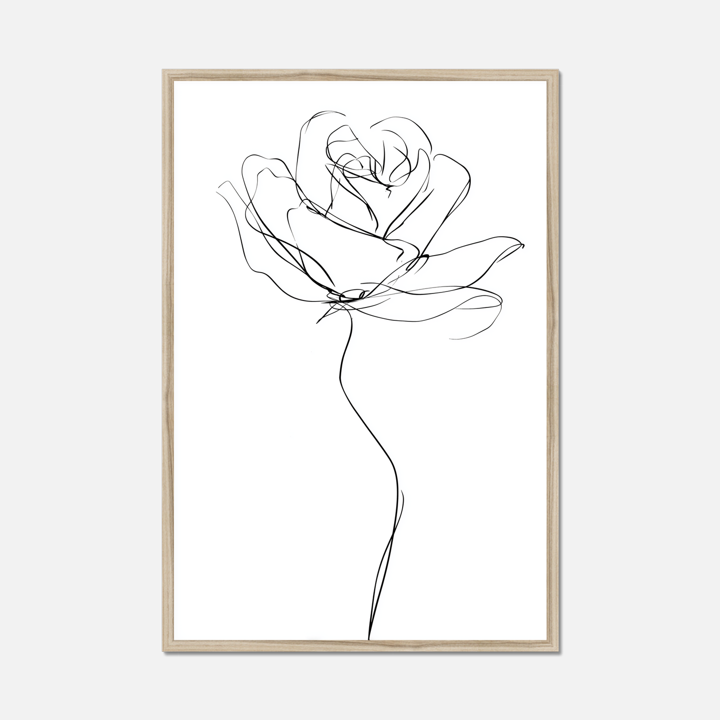 The Rose - Living Lines