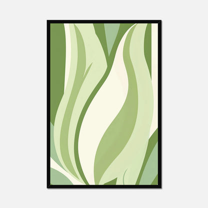 Tulip Envy - Flat Bloom
