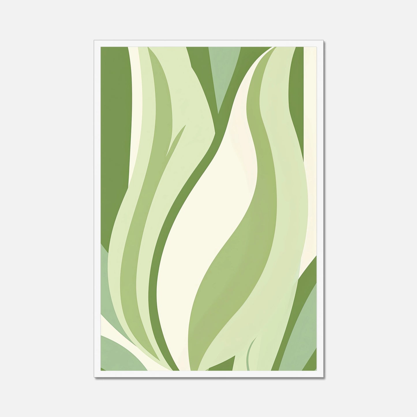 Tulip Envy - Flat Bloom