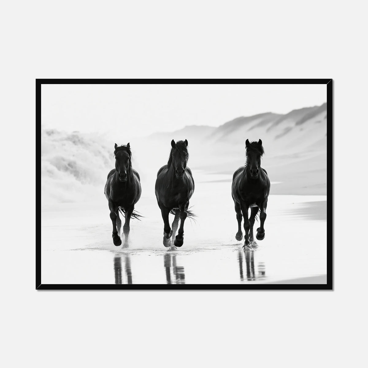 Coastal Horses - Wildlife Worlds