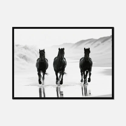 Coastal Horses - Wildlife Worlds