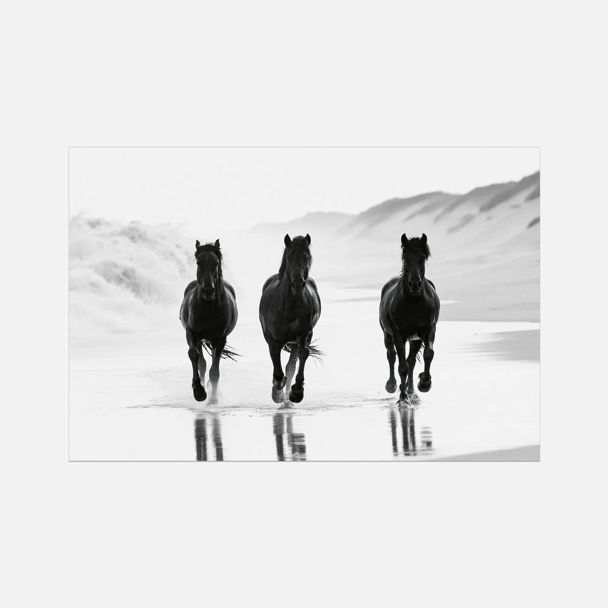 Coastal Horses - Wildlife Worlds
