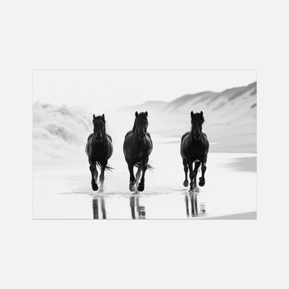 Coastal Horses - Wildlife Worlds