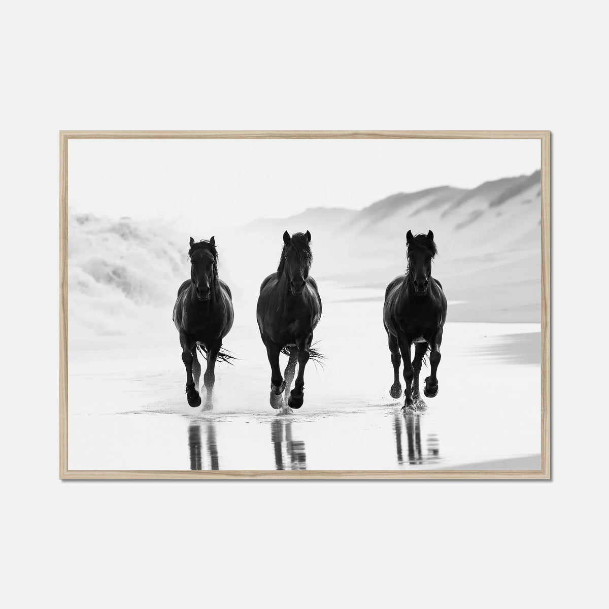Coastal Horses - Wildlife Worlds