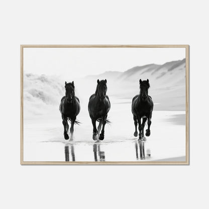 Coastal Horses - Wildlife Worlds